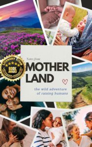 Notes From Motherland book cover